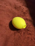 Lemon Wellness Device